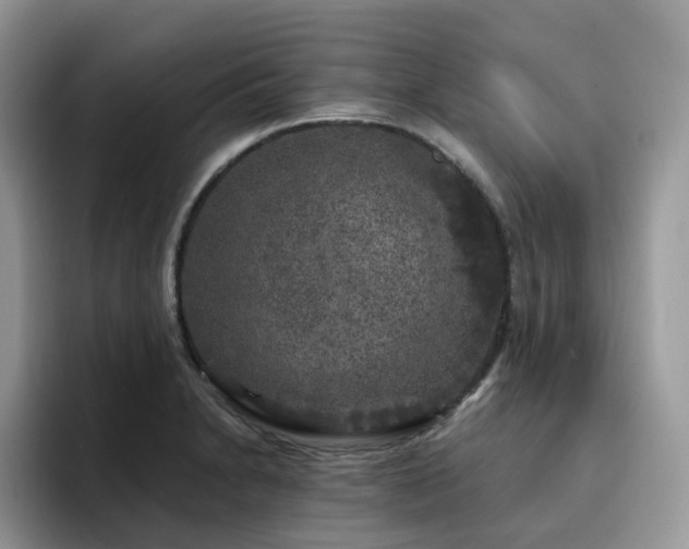 X0000094941230200711291347