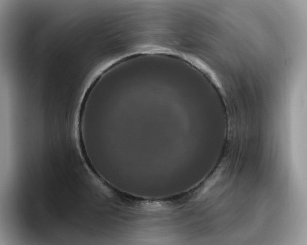 X0000094941231200711291347