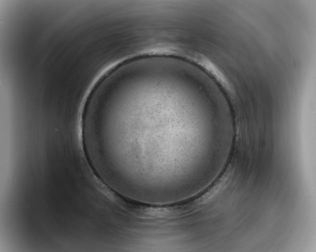 X0000094941232200711291347