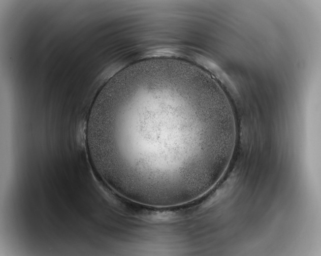 X0000094941233200711291347