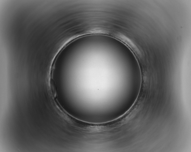 X0000094941236200711291347