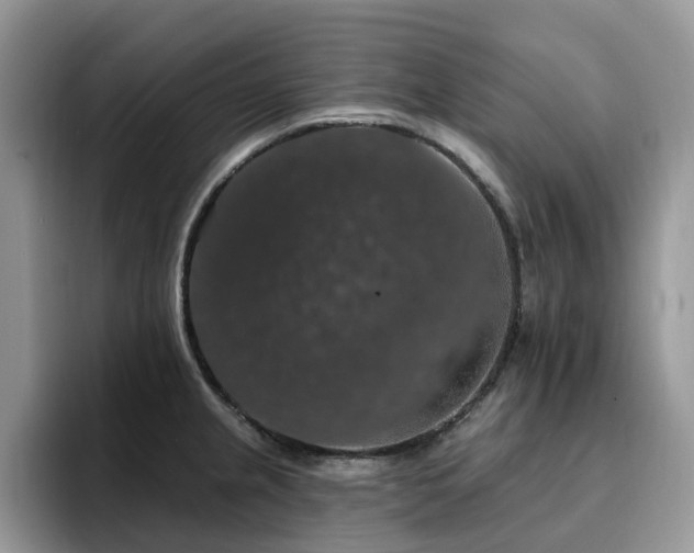X0000094941237200711291347