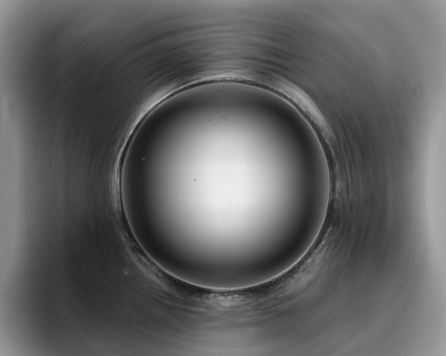 X0000094941242200711291347