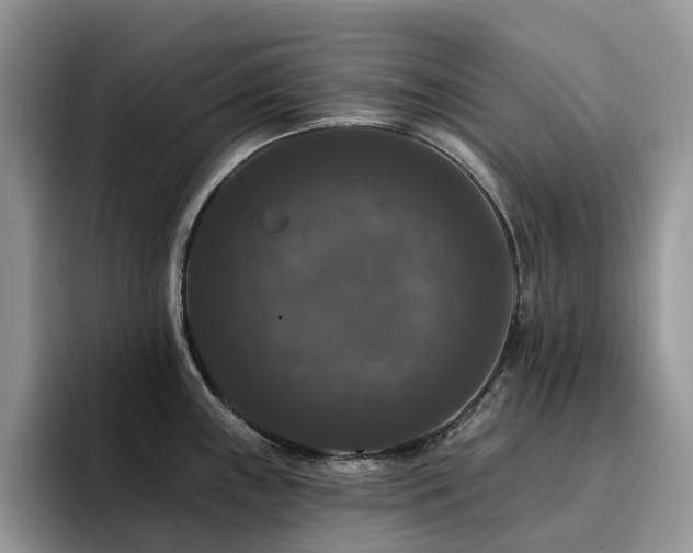 X0000094941243200711291347