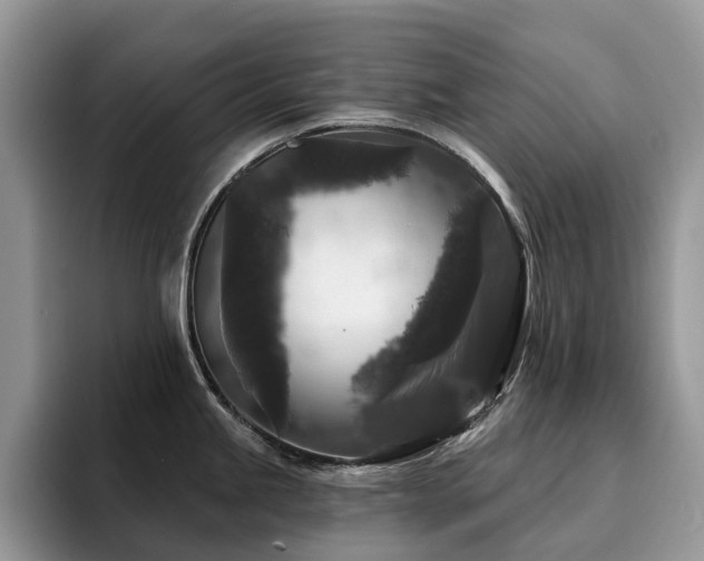 X0000094941245200711291347