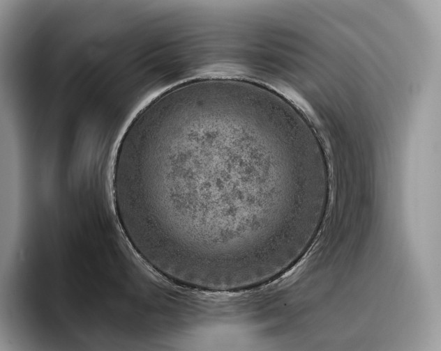 X0000094941248200711291347
