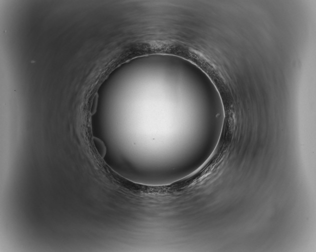 X0000094941249200711291346