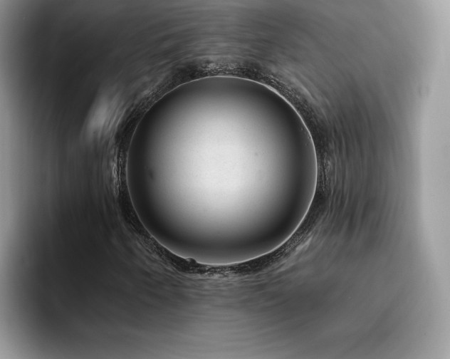 X0000094941250200711291346