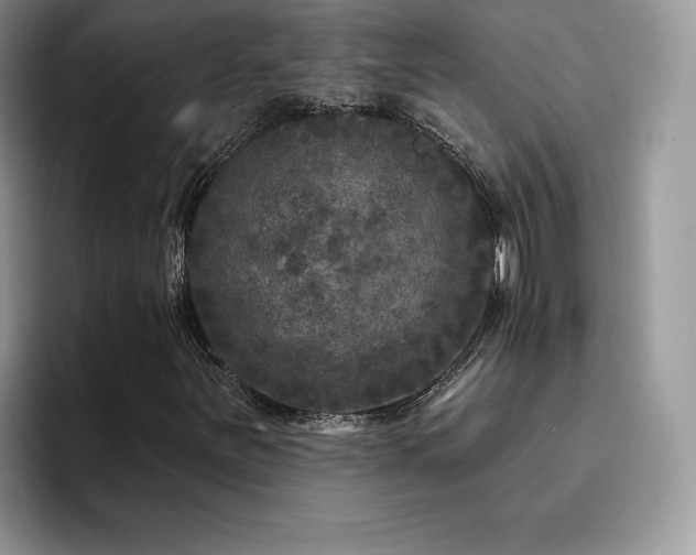 X0000094941251200711291346