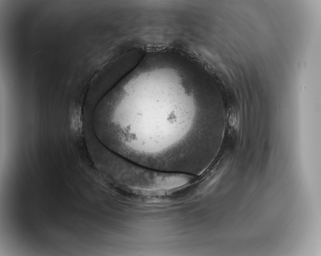 X0000094941252200711291346