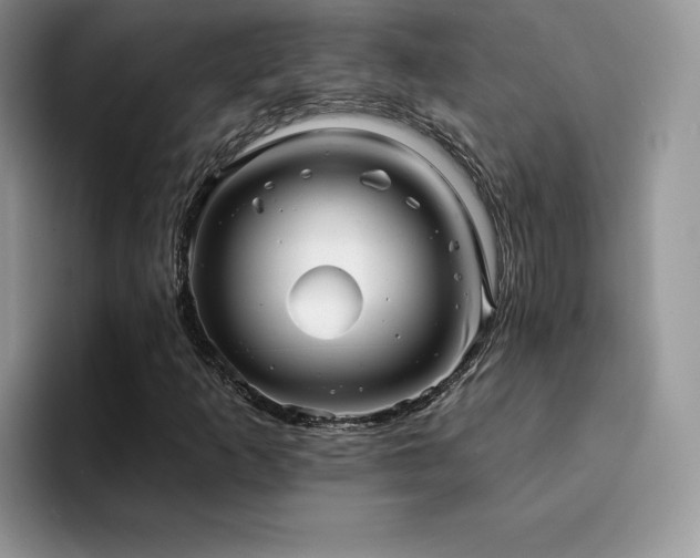 X0000094941253200711291346