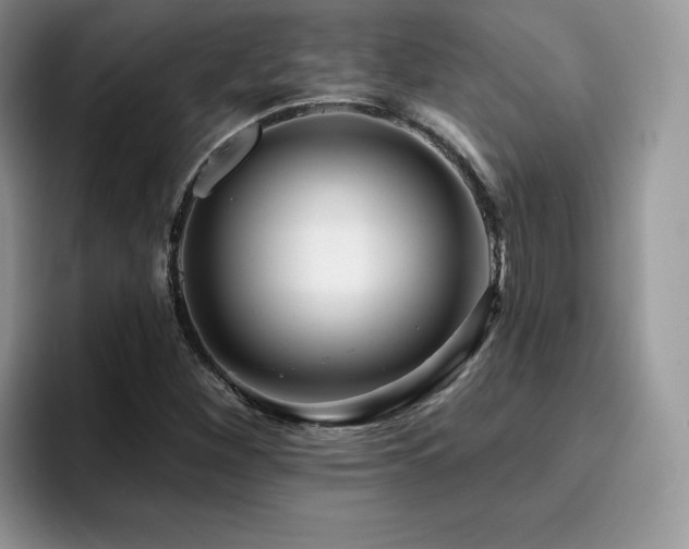 X0000094941260200711291346