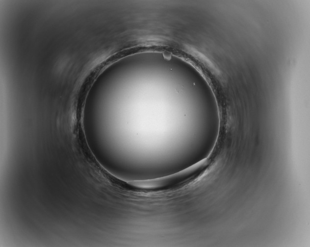 X0000094941261200711291346