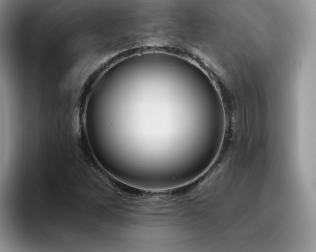 X0000094941262200711291346