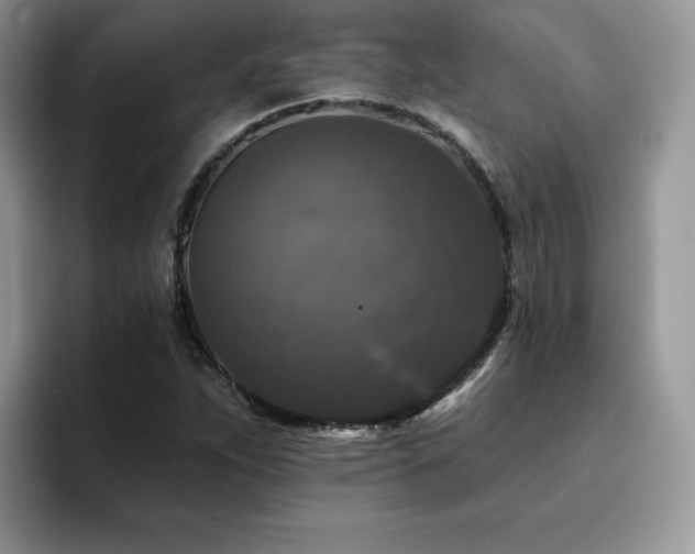X0000094941263200711291346