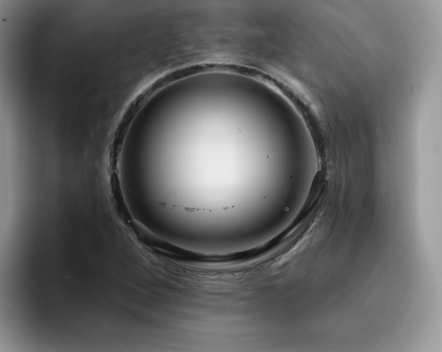 X0000094941264200711291346