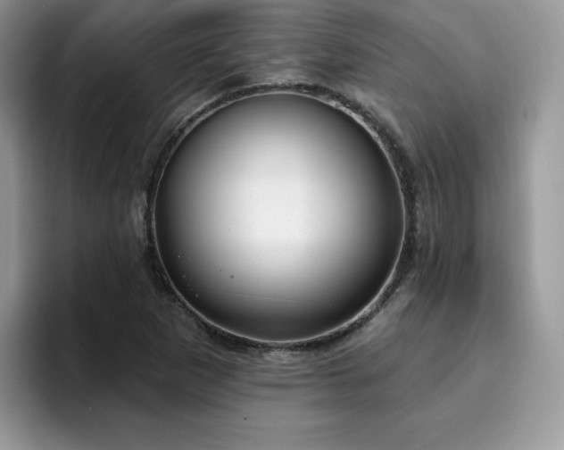 X0000094941265200711291346