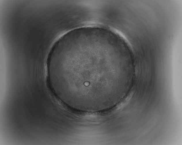 X0000094941267200711291346