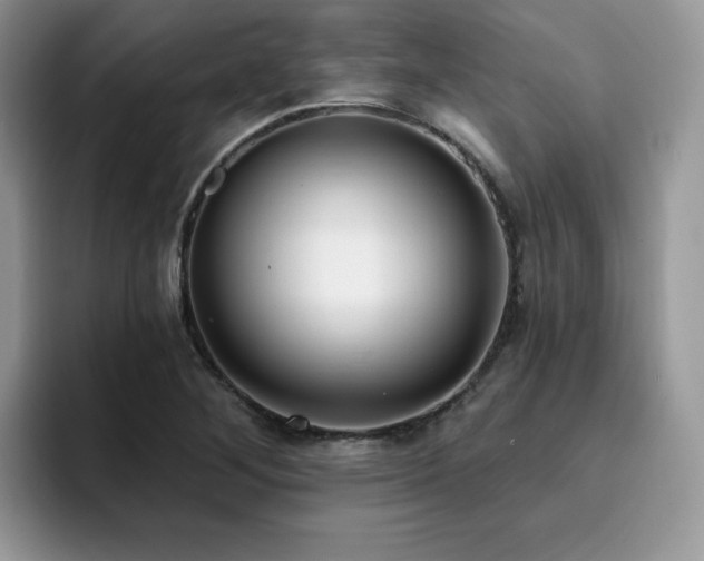 X0000094941268200711291346