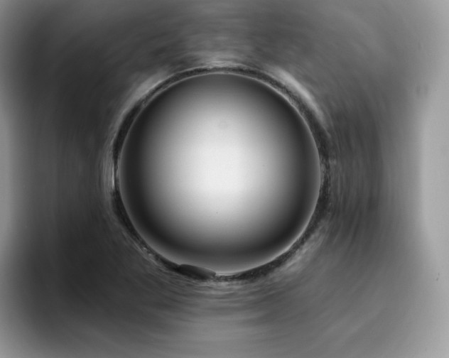 X0000094941269200711291346