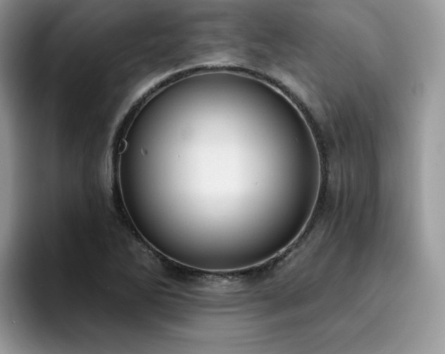 X0000094941270200711291346