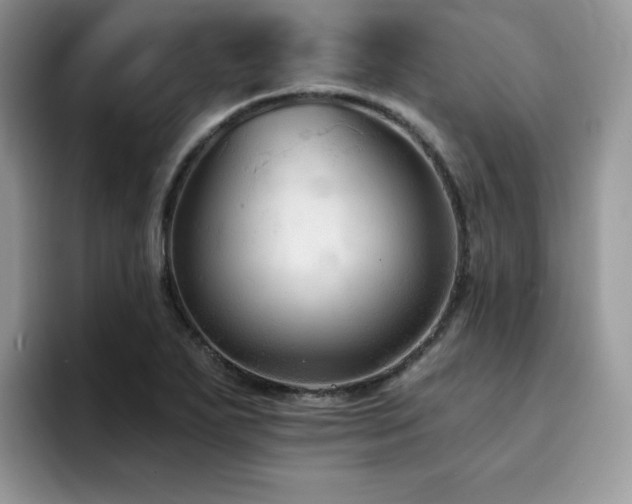 X0000094941271200711291346