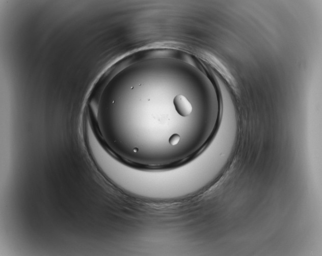 X0000094941276200711291346