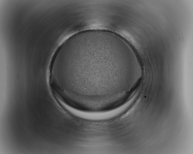 X0000094941277200711291346