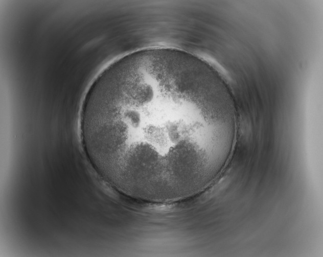 X0000094941278200711291346