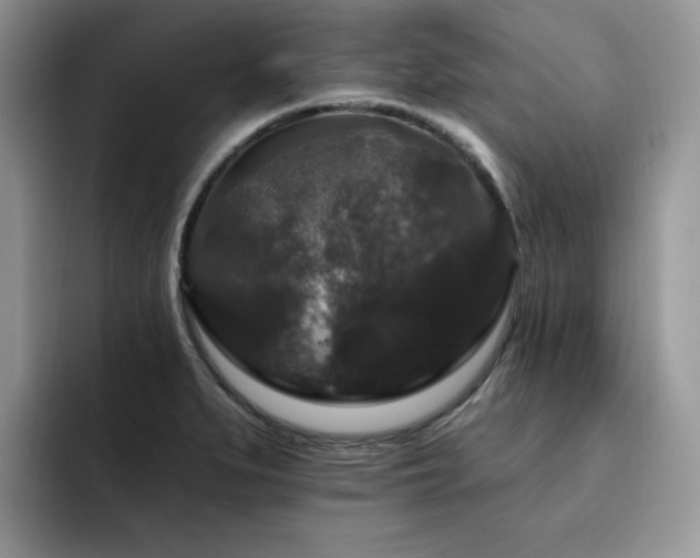 X0000094941279200711291346