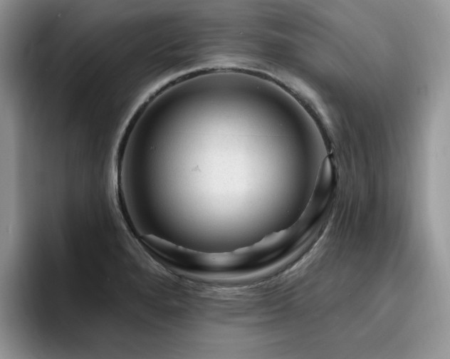 X0000094941280200711291346