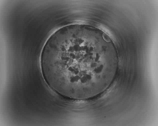 X0000094941283200711291346