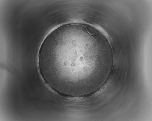 X0000094941287200711291346