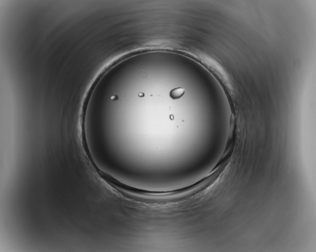 X0000094941288200711291346