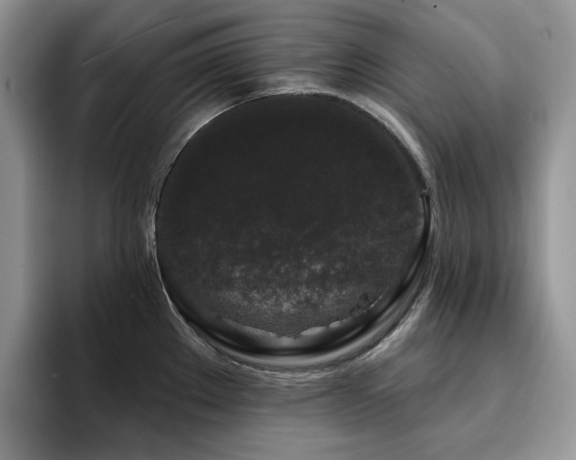 X0000094941289200711291346