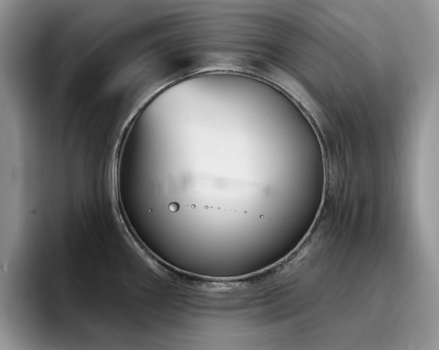 X0000094941290200711291346