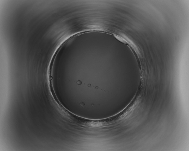 X0000094941291200711291346