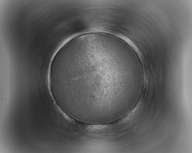 X0000094941294200711291346