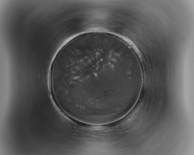 X0000094941295200711291346