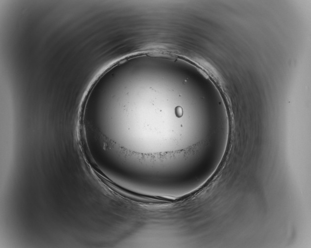 X0000094941296200711291346