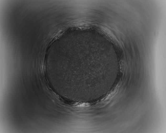 X0000094941298200711291345