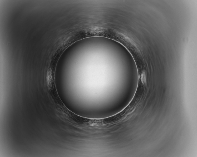 X0000094941299200711291345