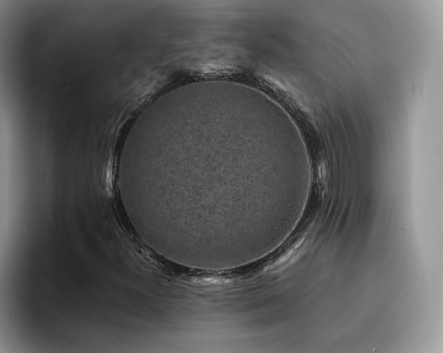 X0000094941300200711291345