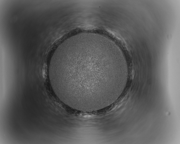 X0000094941301200711291345