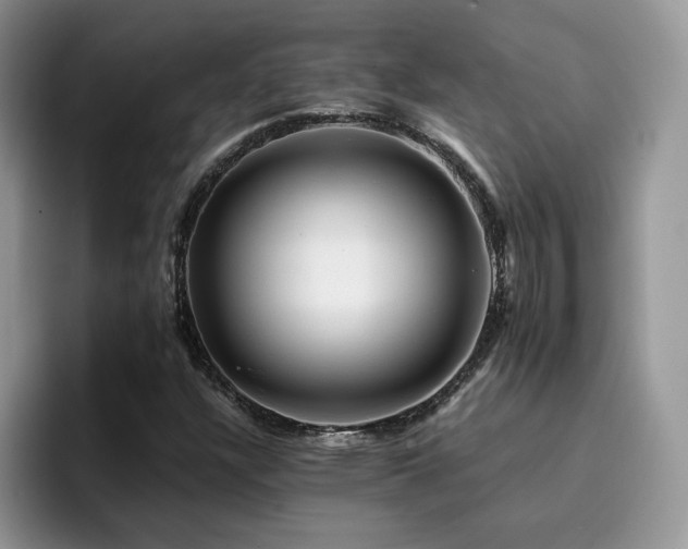 X0000094941304200711291345