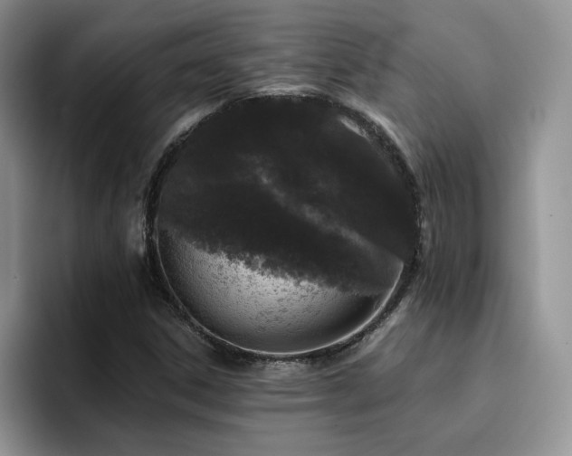 X0000094941306200711291345