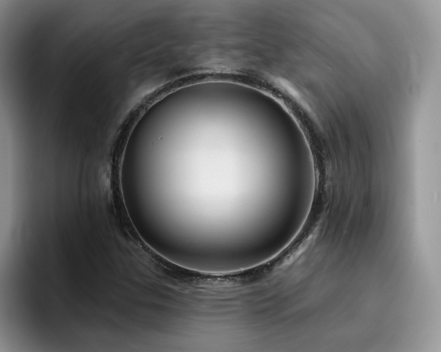 X0000094941307200711291345