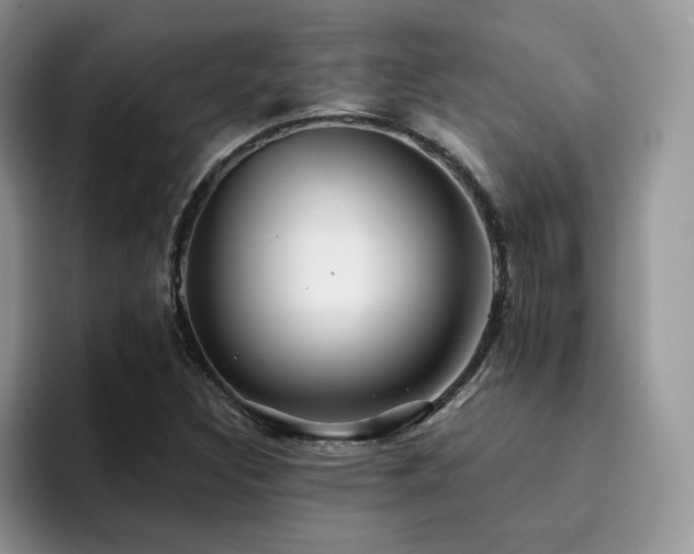 X0000094941308200711291345