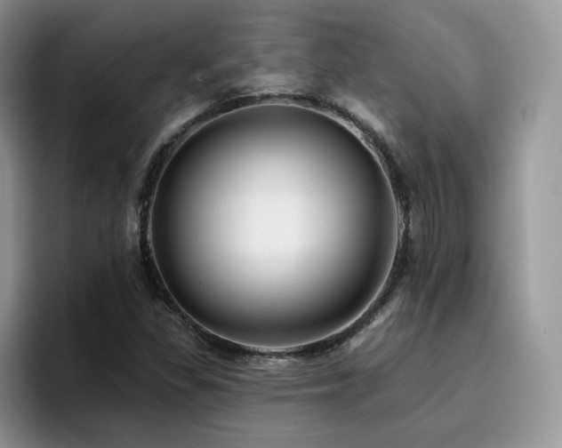 X0000094941309200711291345