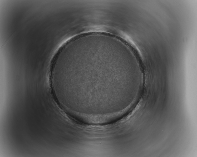 X0000094941312200711291345